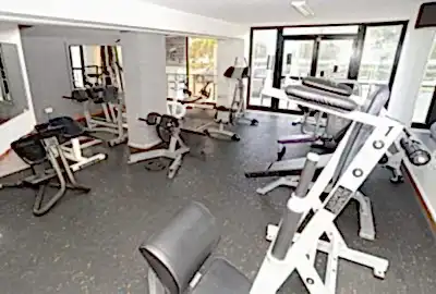abs gym equipment
