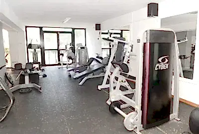 cybex hammer strength equipment