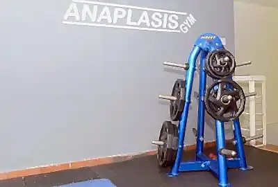 gym plates