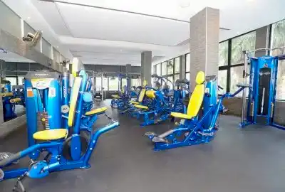 hoist gym fitness equipment