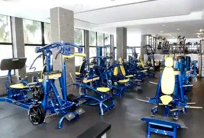 main gym fitness equipment